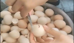 假鸡蛋是怎么做的视频,视频带你走进神秘实验室